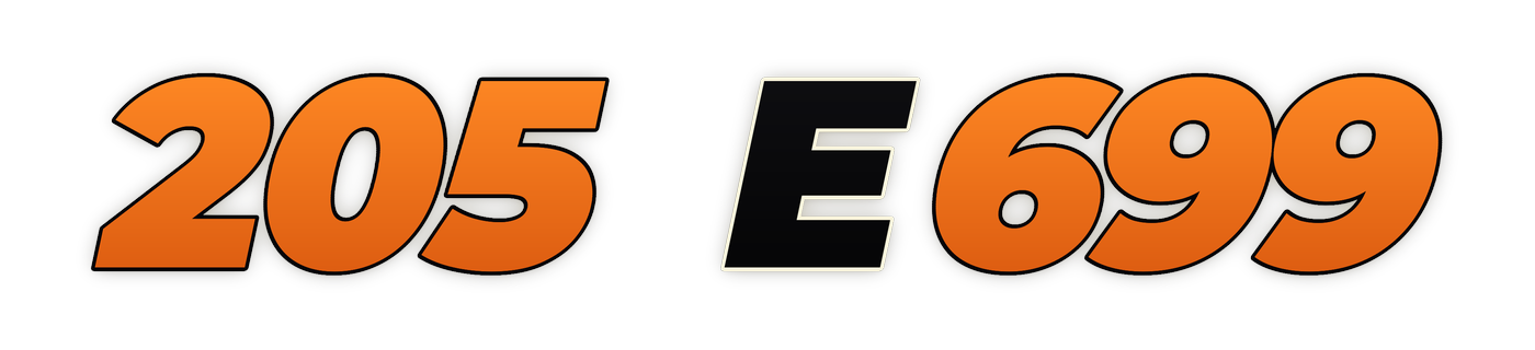 205 e699